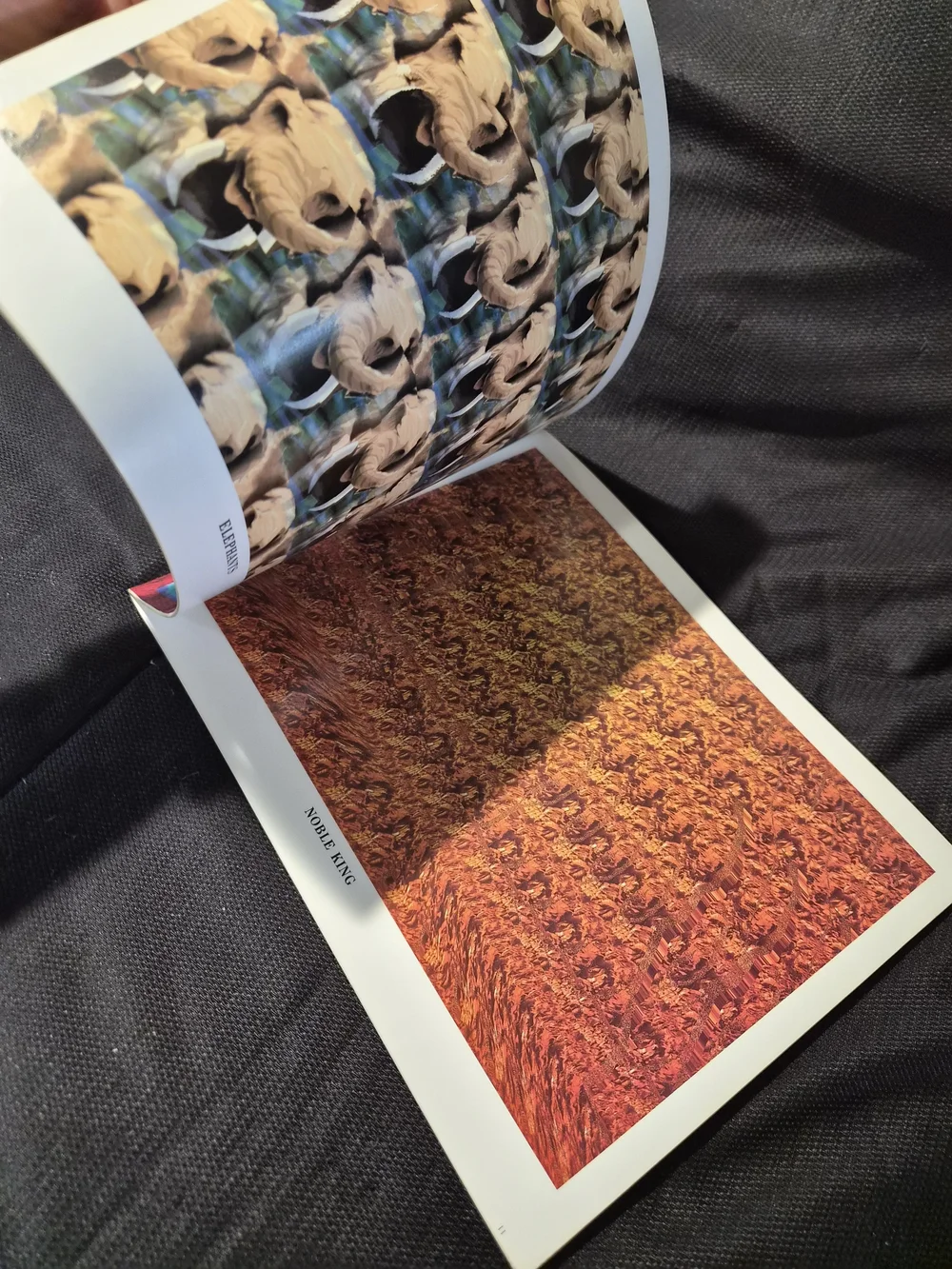 Ultra 3-D II Fine Art Print Book - Red Cover with Purple 3D Image